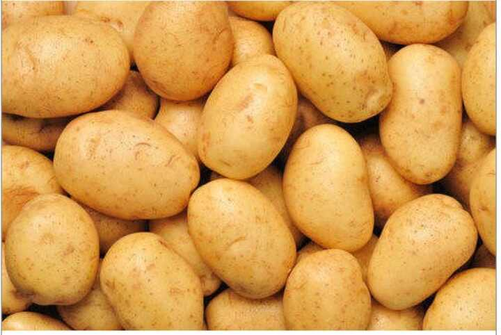 Chipsona