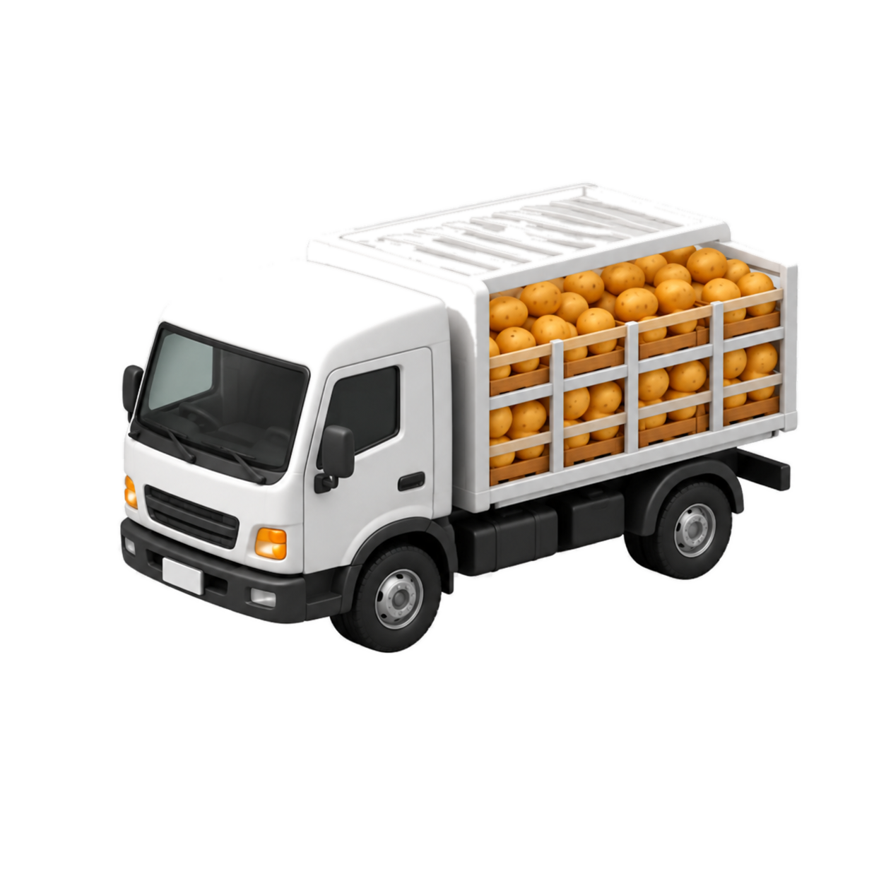 Transport Services