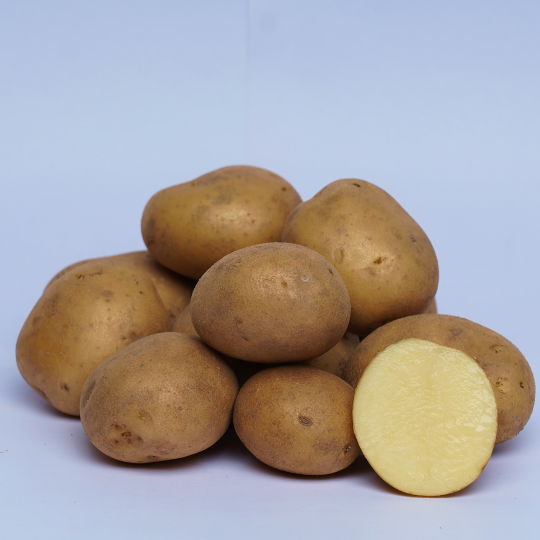 Chipsona